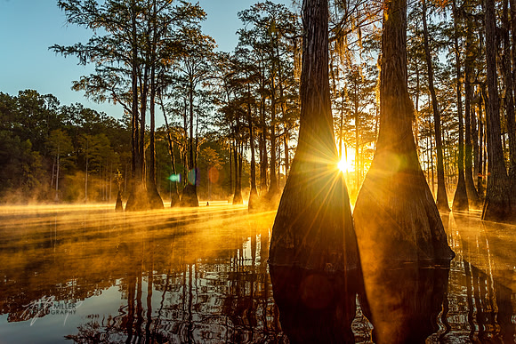 ANF Cypress Sunrise 2