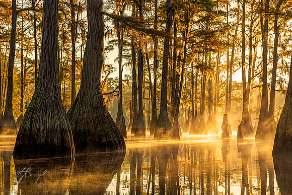 ANF Cypress Sunrise 3