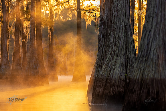 ANF Cypress Sunrise 4