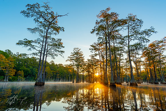 ANF Cypress Sunrise 1