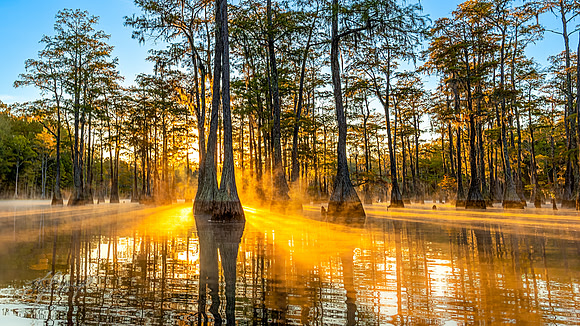 ANF Cypress Sunrise 6