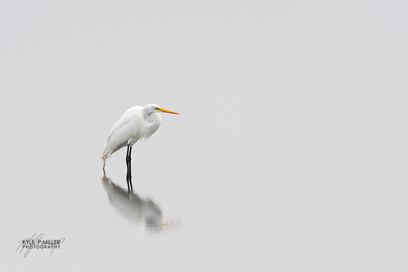 Simplicity