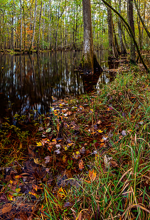 Fall Run 1