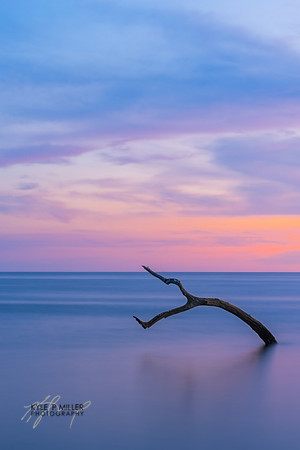 Shired Island 1