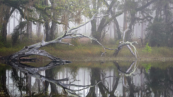 Dancing in the mist