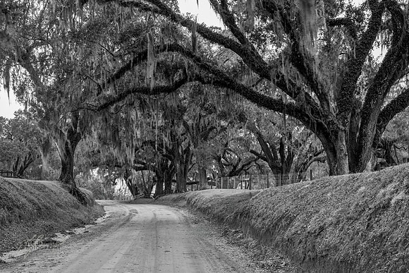 Take the long way home