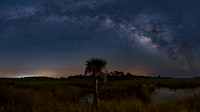The Real Florida