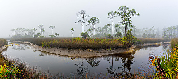 Foggy Creek