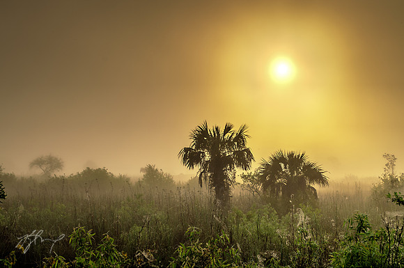 Foggy Sunrise over Stoney Bauoy field